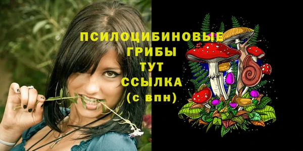не бодяженный Осинники