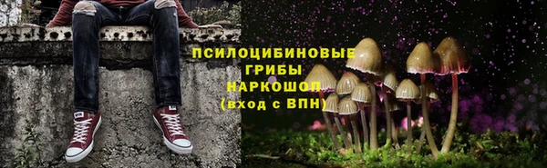 не бодяженный Осинники