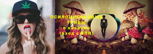 кокс Осташков