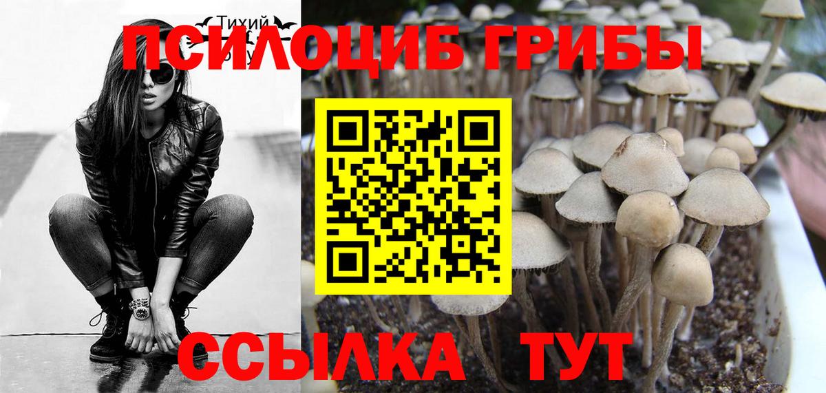 Галлюциногенные грибы Cubensis  Галлюциногенные грибы Magic Shrooms  Вход с VPN  Сарапул 