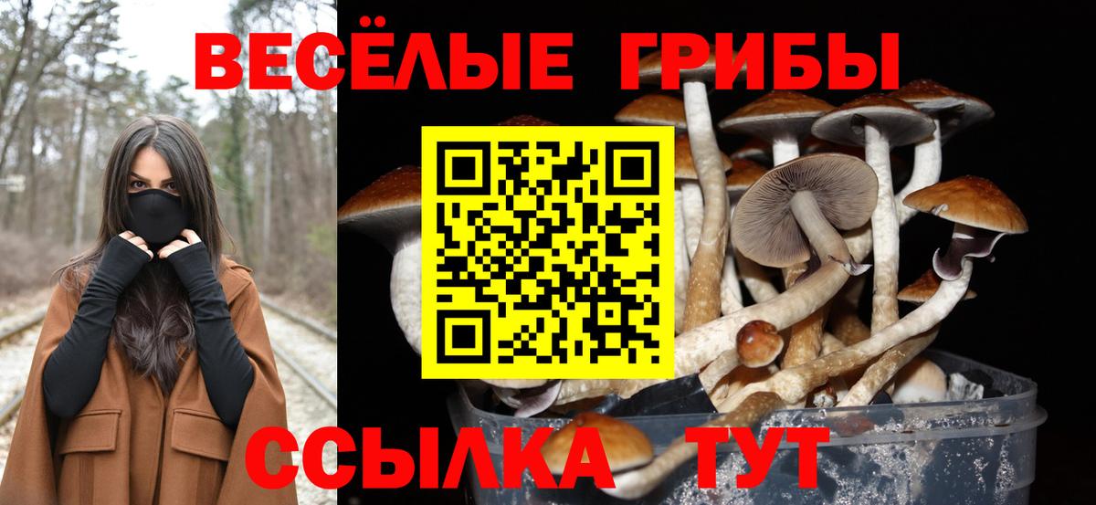 Псилоцибиновые грибы мухоморы Сарапул
