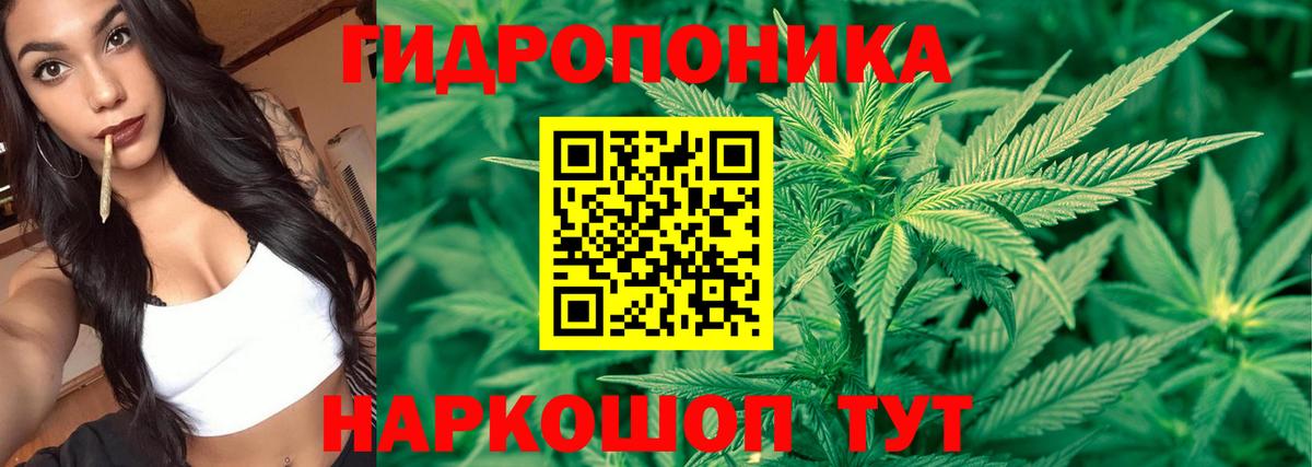 Каннабис конопля  МАРИХУАНА тримм  Канабис AK-47  Сарапул  Вход с VPN 